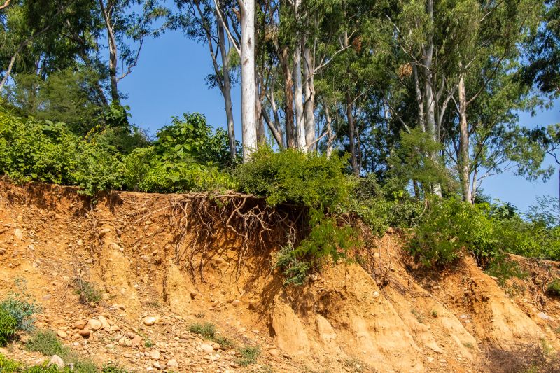Erosion Service