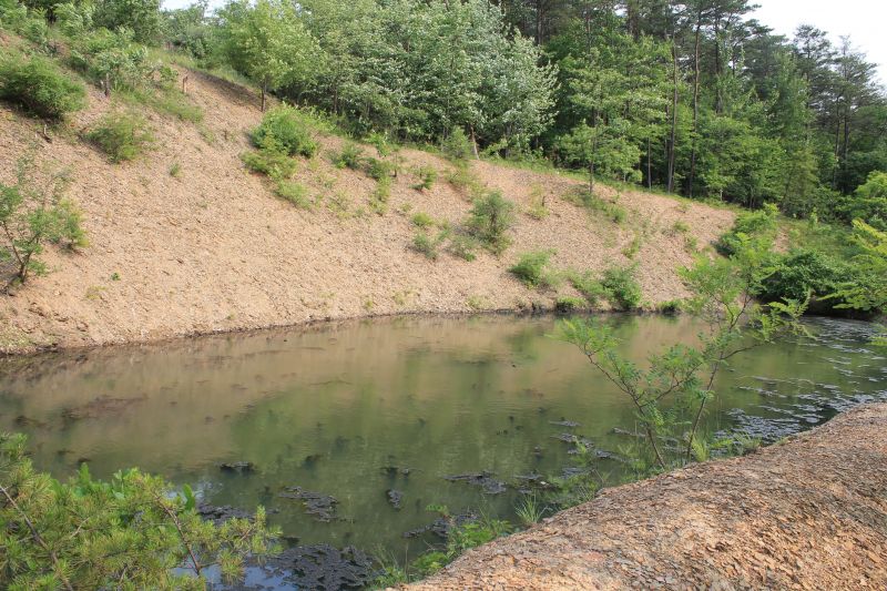 Erosion Service