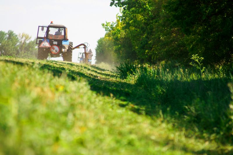 Brush Clearing Service in Salt Lake City, UT