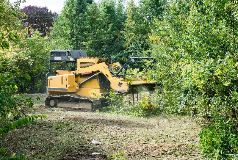 Brush Clearing Service in Salt Lake City, UT