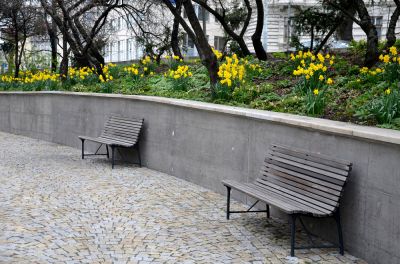 Concrete Retaining Wall!