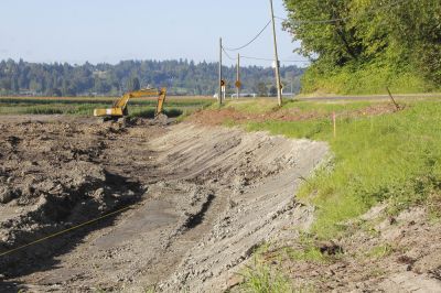Prevent Erosion and Drainage Problems
